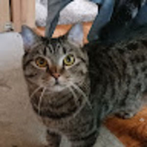 Meet your Posher, Marc